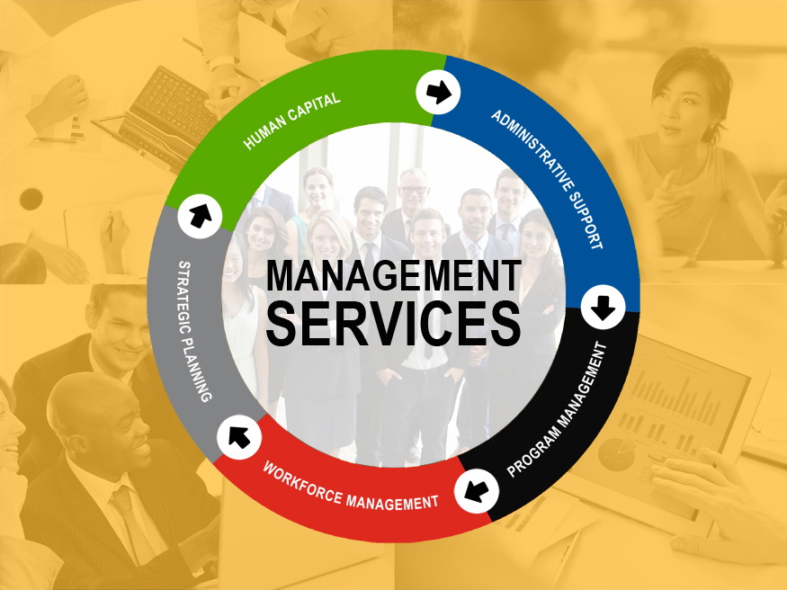 Management Servics Diagram 2